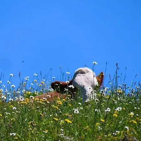 Apartment Angererhof *