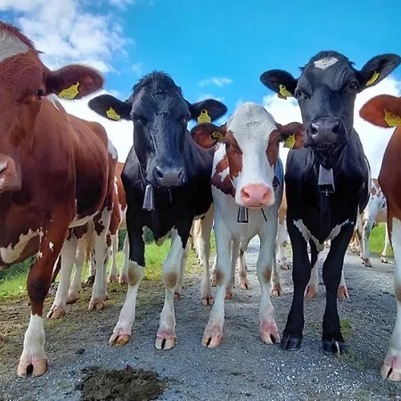 Διαμέρισμα Angererhof