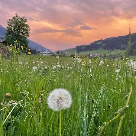 Apartment Angererhof *