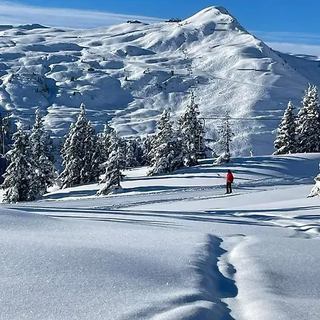 Apartment Angererhof Jochberg