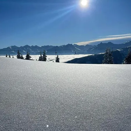 Angererhof *