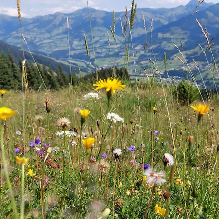 Angererhof